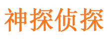 龙岗捉小三公司